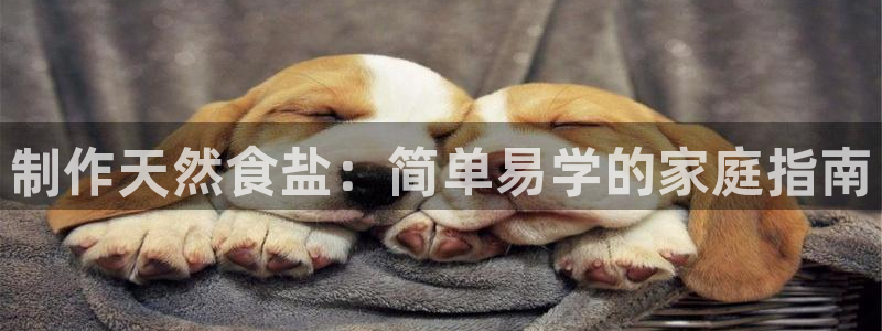 威九国际官方入口