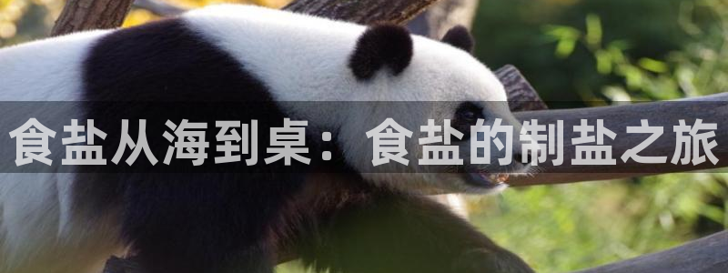 威九国际下载
