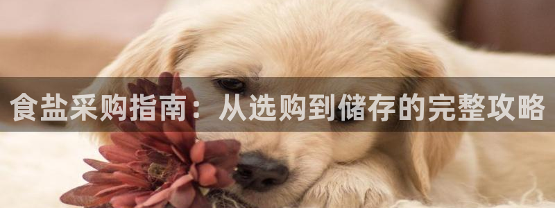 威九国际66在线
