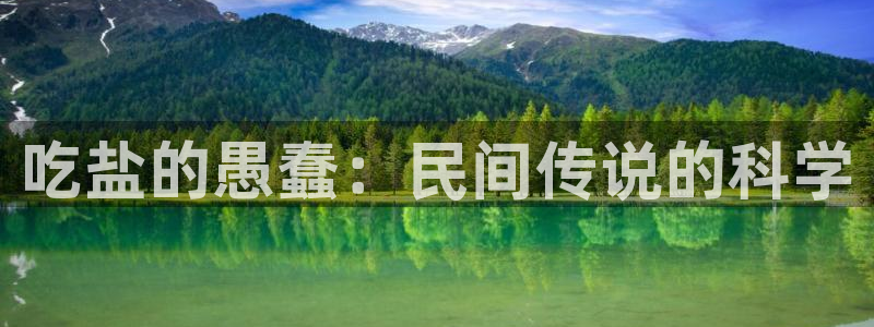 威九国际PPT