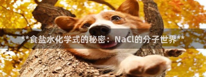 威九国际真人玩家在线对战