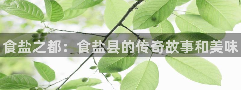 威九国际cm78
