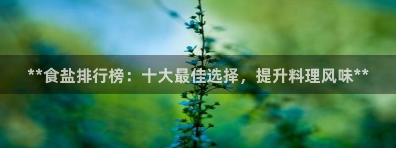 威九国际女星