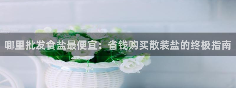 威九国际女明星