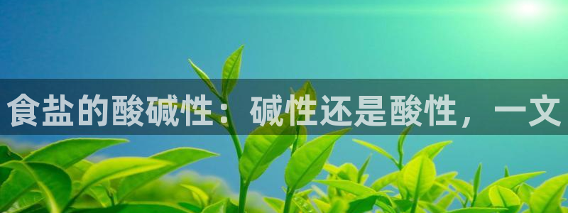 威九国际系列