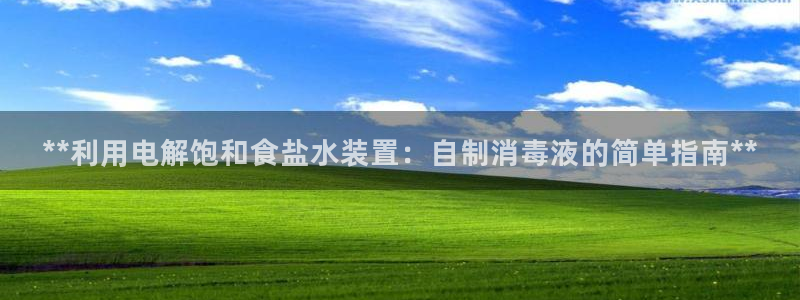威九国际抡里