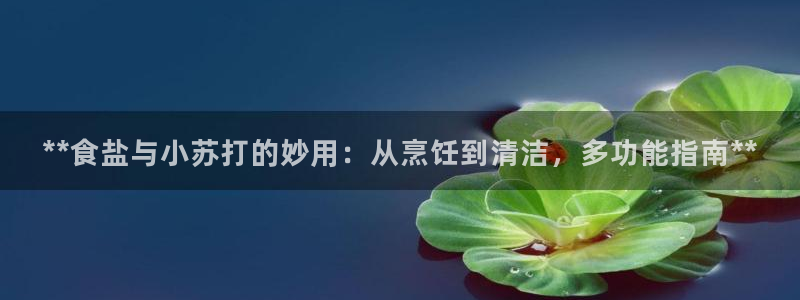 威九国际小广告