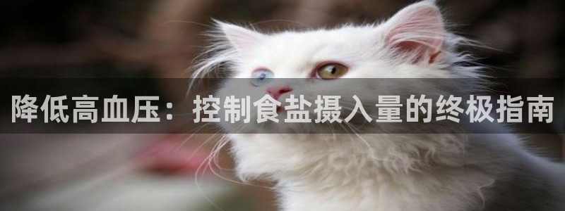 威九国际下载