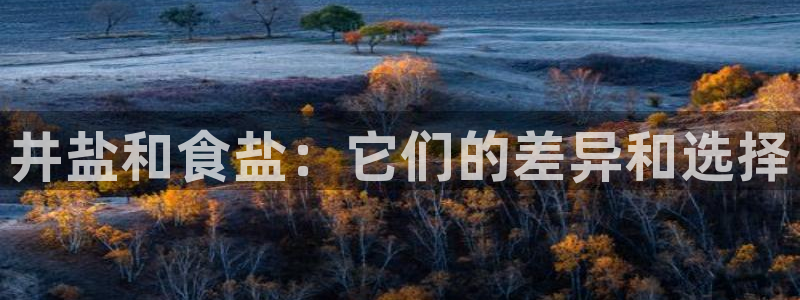 威九国际网站链接