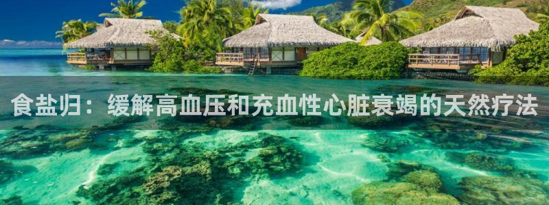 威九国际集团66m一6在线