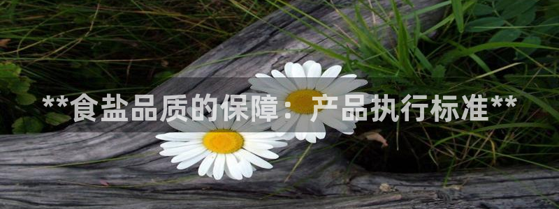 威九国际精免费下载