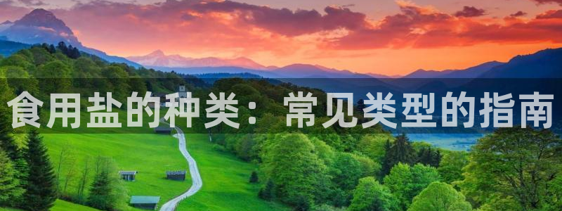 威九国际v96BET