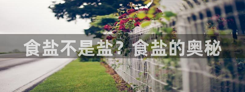 威九国际留学