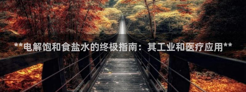 威九国际免费ppt网址
