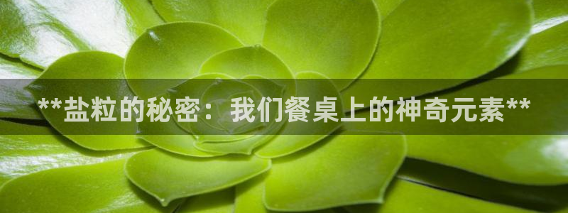 威九国际66在线