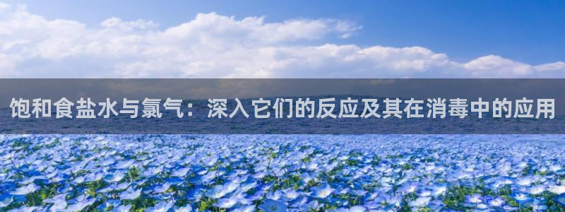 威九国际网站进入公司不断创新