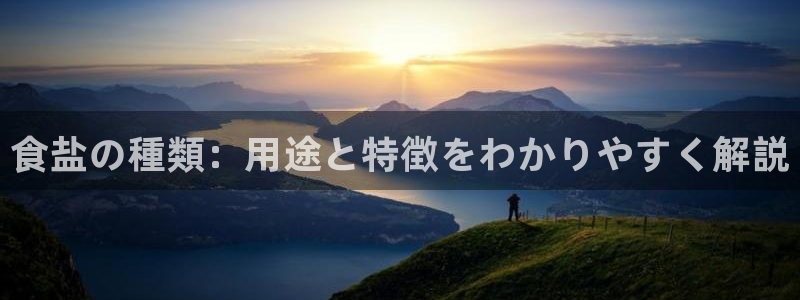 威九国际软件公司简介