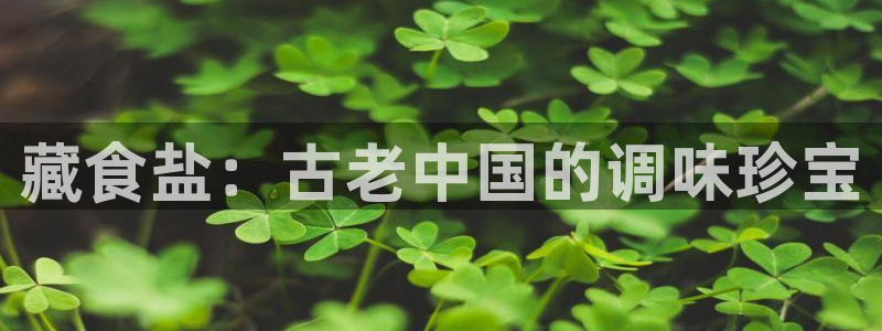 威九国际软件