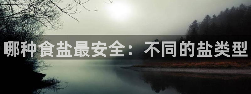 威九国际惠子