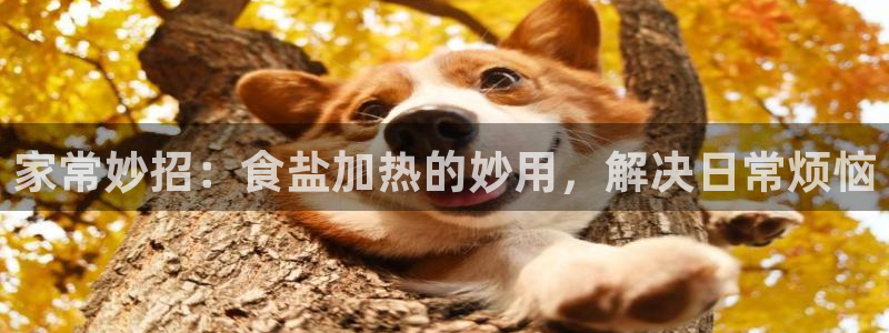 威九国际66m免费下载