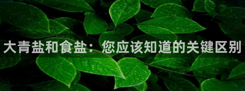 威九国际正规吗