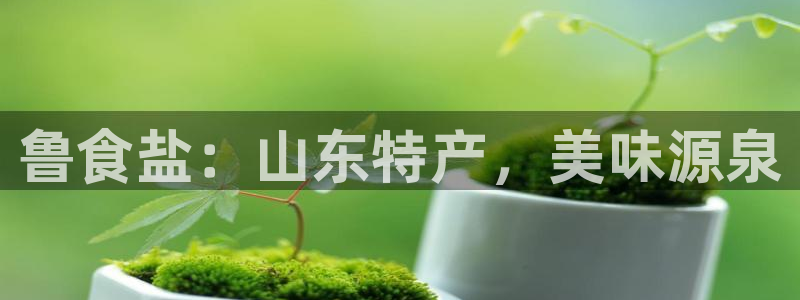 威九国际v96 bet会黑吗