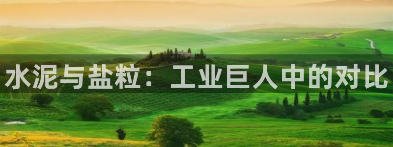 威九国际理论片最经典十首歌曲