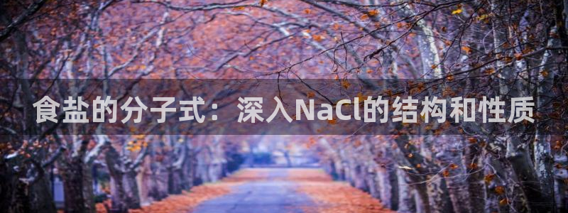 威九国际清砖码头在哪
