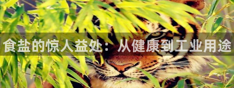 威九国际网站传媒招聘