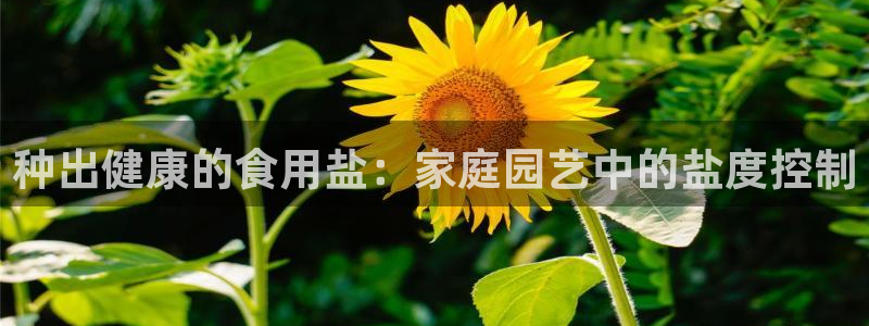 威九国际网站进入客服中心怎么进