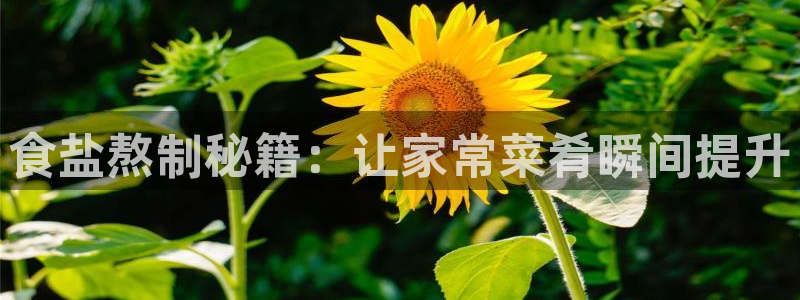 威九国际替好友去
