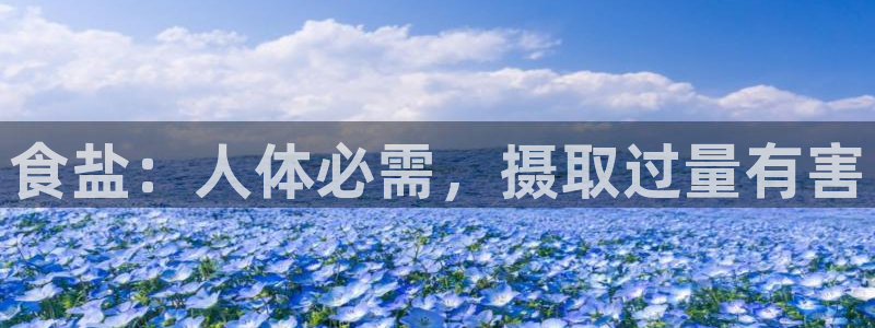威九国际可以赚到钱