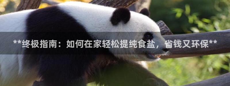 威九国际网站人入口