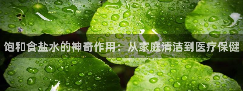 威九国际网站更新了吗