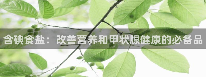 威九国际MV