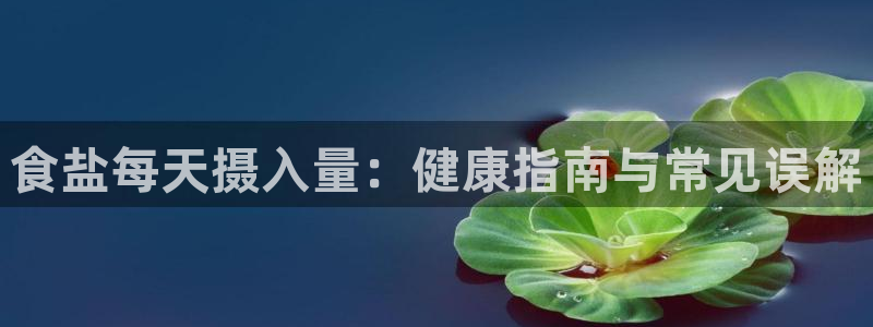 威九国际男主