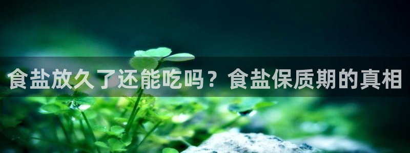 威九国际v8