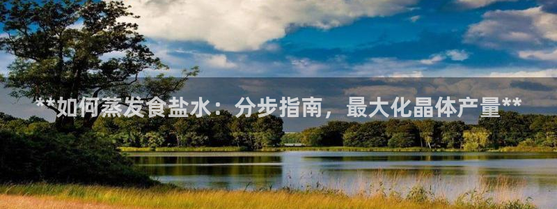 威九国际清砖码