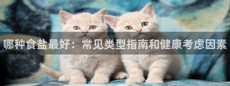 78mapp威九国际官网版
