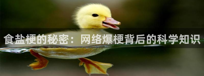 威九国际Info