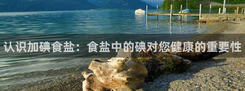 威九国际客服电话号码查询