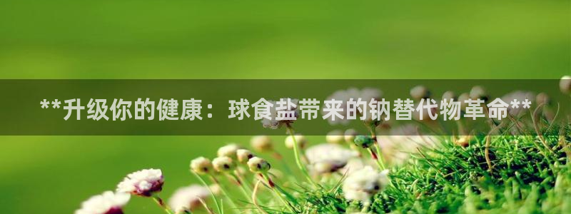 威九国际官方入口官网