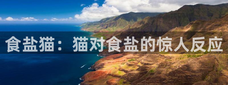 威九国际游戏app(网站)