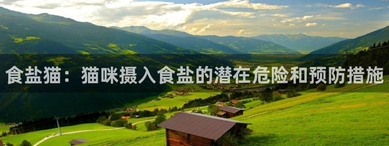 威九国际的金融服务有哪些
