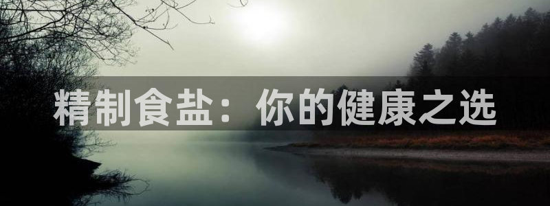 威九国际H