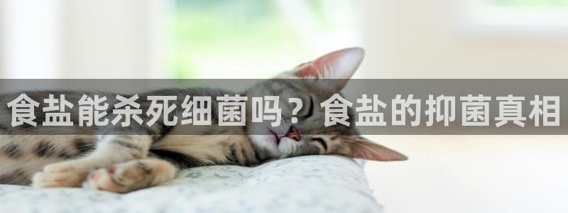 威九国际女儿的朋友