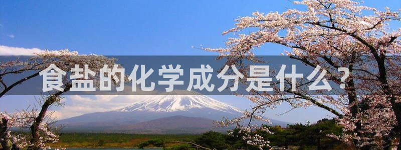 威九国际女主名字