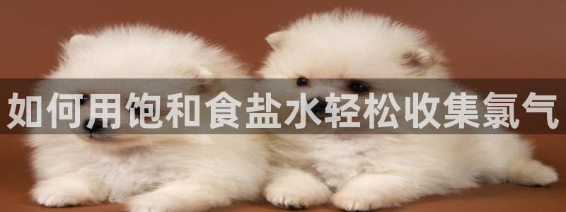 威九国际最近的视频