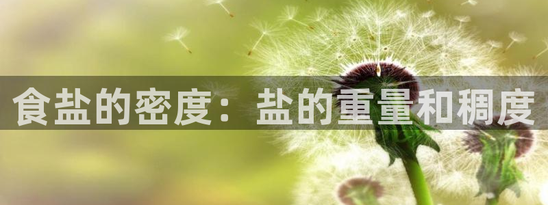 威九国际可以赚到钱