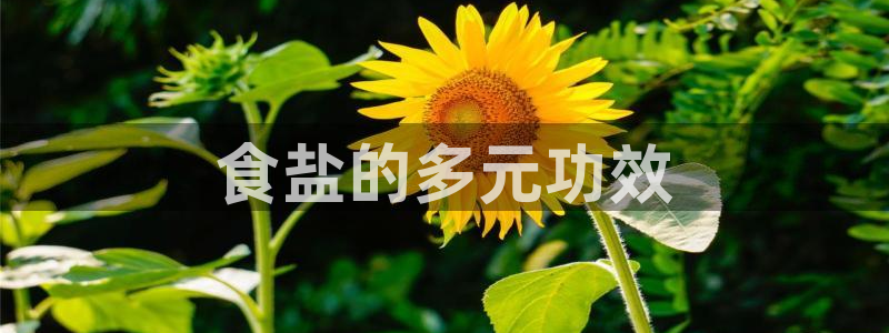 威九国际网站怎么样